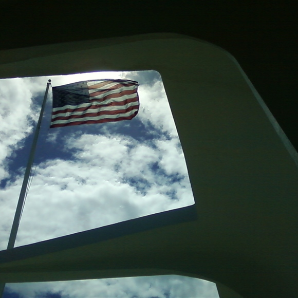 Meet your Posher, Fiona - Picture 1 of 1